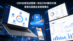 建立了融合AI-Agentforce智能体中台SCRM的一体化办事